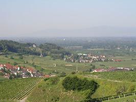 Oberbergen im Kaiserstuhl » Bild 26