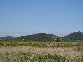 Naturschutzgebiet Bchsenberg