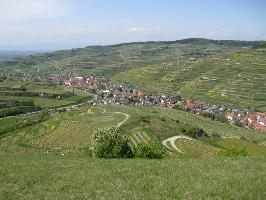 Oberbergen im Kaiserstuhl » Bild 1