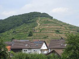 Oberbergen im Kaiserstuhl » Bild 29