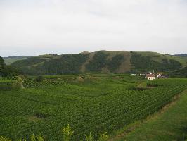 Badberg & Haselschacher Buck Kaiserstuhl » Bild 39