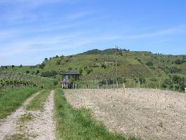 Oberrotweil im Kaiserstuhl » Bild 19