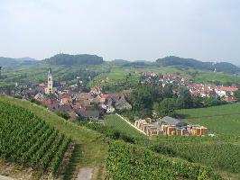 Oberrotweil im Kaiserstuhl » Bild 20