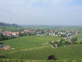 Oberrotweil im Kaiserstuhl » Bild 21