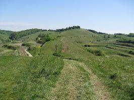 Badberg & Haselschacher Buck Kaiserstuhl » Bild 24