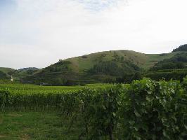 Schlossberg Altvogtsburg