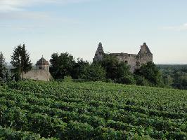 Stadtmauer Burkheim & Schloss Burkheim