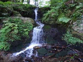 Altersbacher