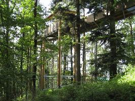 Baumkronenweg Waldkirch: Holz-Stahl-Konstruktion