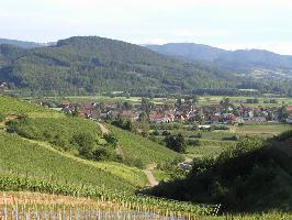 Waldkirch im Elztal » Bild 15