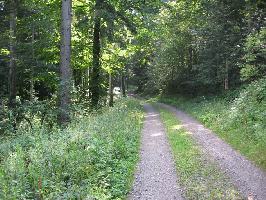 Hugenwald: Schwarzenbergweg