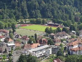 Sportverein Waldkirch