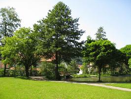 Stadtrainsee: Brcke zum Dettenbach