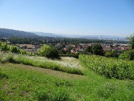 Altweil: Blick Grenzacher Horn