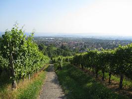 Langgass tlingen: Blick Haltingen