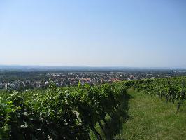 Weiler Weinweg: Haltingen