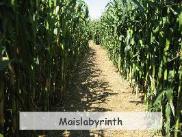 Maislabyrinth