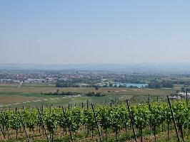 Wyhl