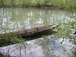 Naturschutzgebiet Rheinniederung Wyhl-Weisweil