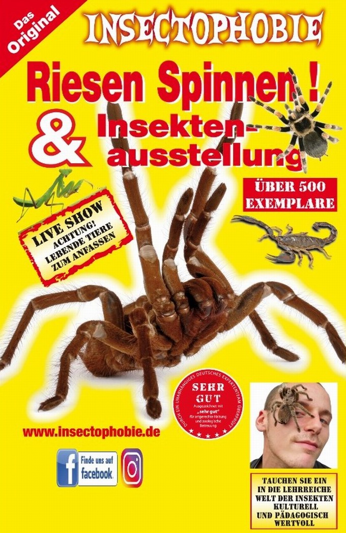 Spinnen- und Insektenausstellung Bad Sckingen 2022